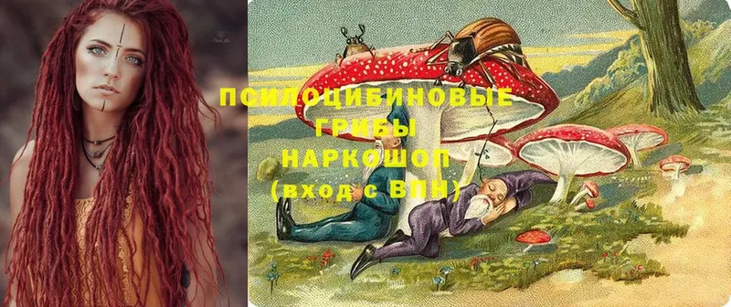 Псилоцибиновые грибы Magic Shrooms  Бокситогорск 